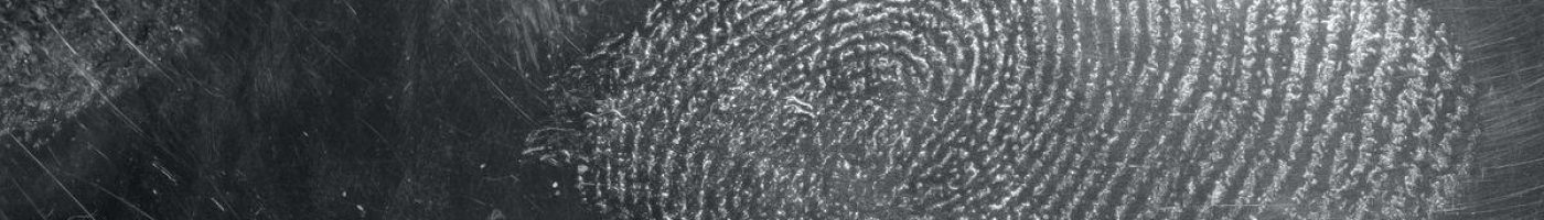 fingerprint Identification Fingerprint Identification